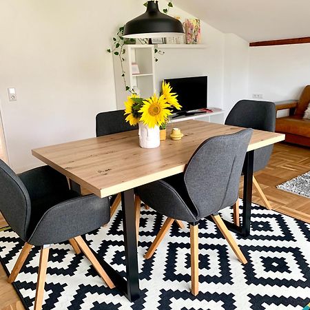 Schoene, Grosse Ferienwohnung Direkt Am Donauradweg & Keltenstadt Heuneburg Herbertingen Exterior foto